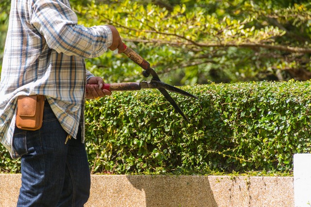 Garden Maintenance Wembley Park, HA9
